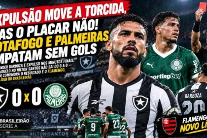 Botafogo x palmeiras